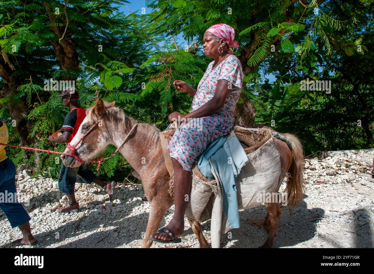 Saut d'eau haiti hi-res stock photography and images - Alamy