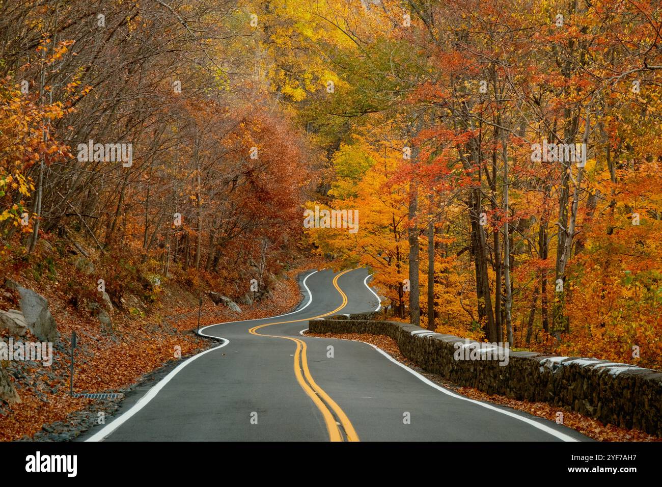 A winding road lined with colorful autumn trees on Storm King Highway ...