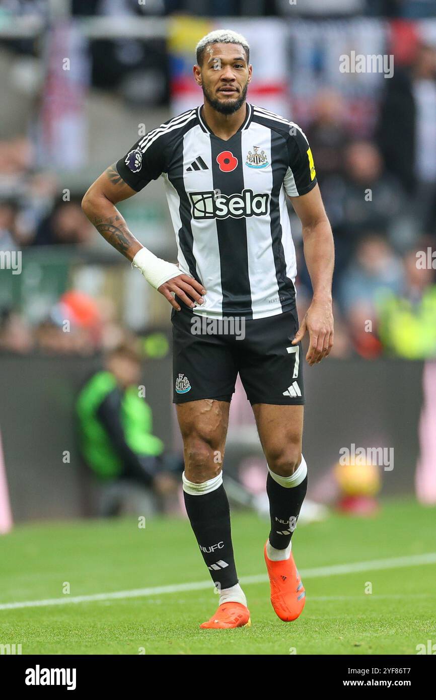 Joelinton newcastle united 2024 hi-res stock photography and