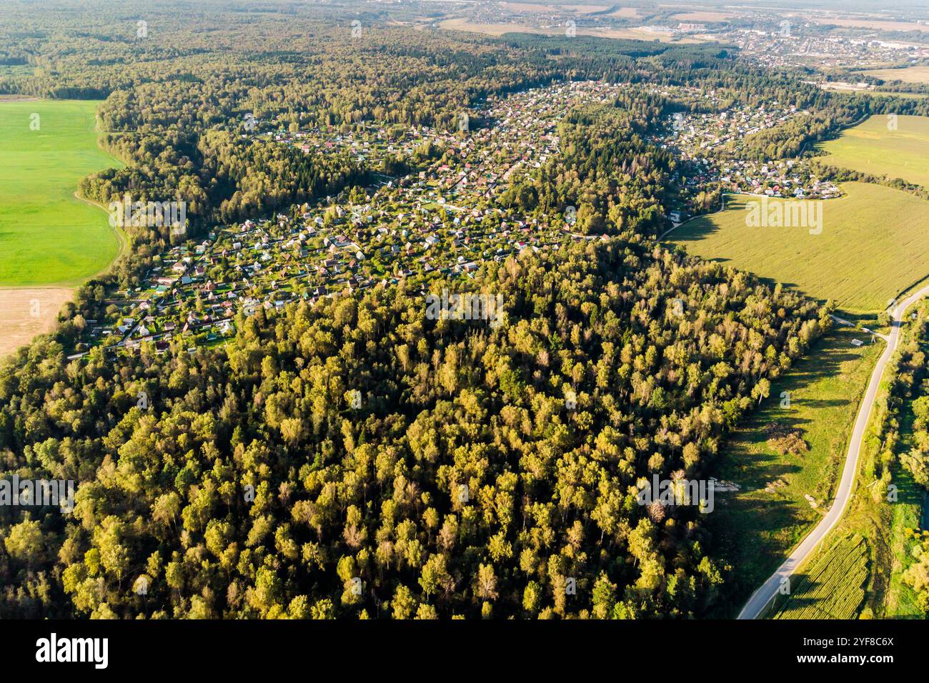 Development of dense forest hi-res stock photography and images - Alamy