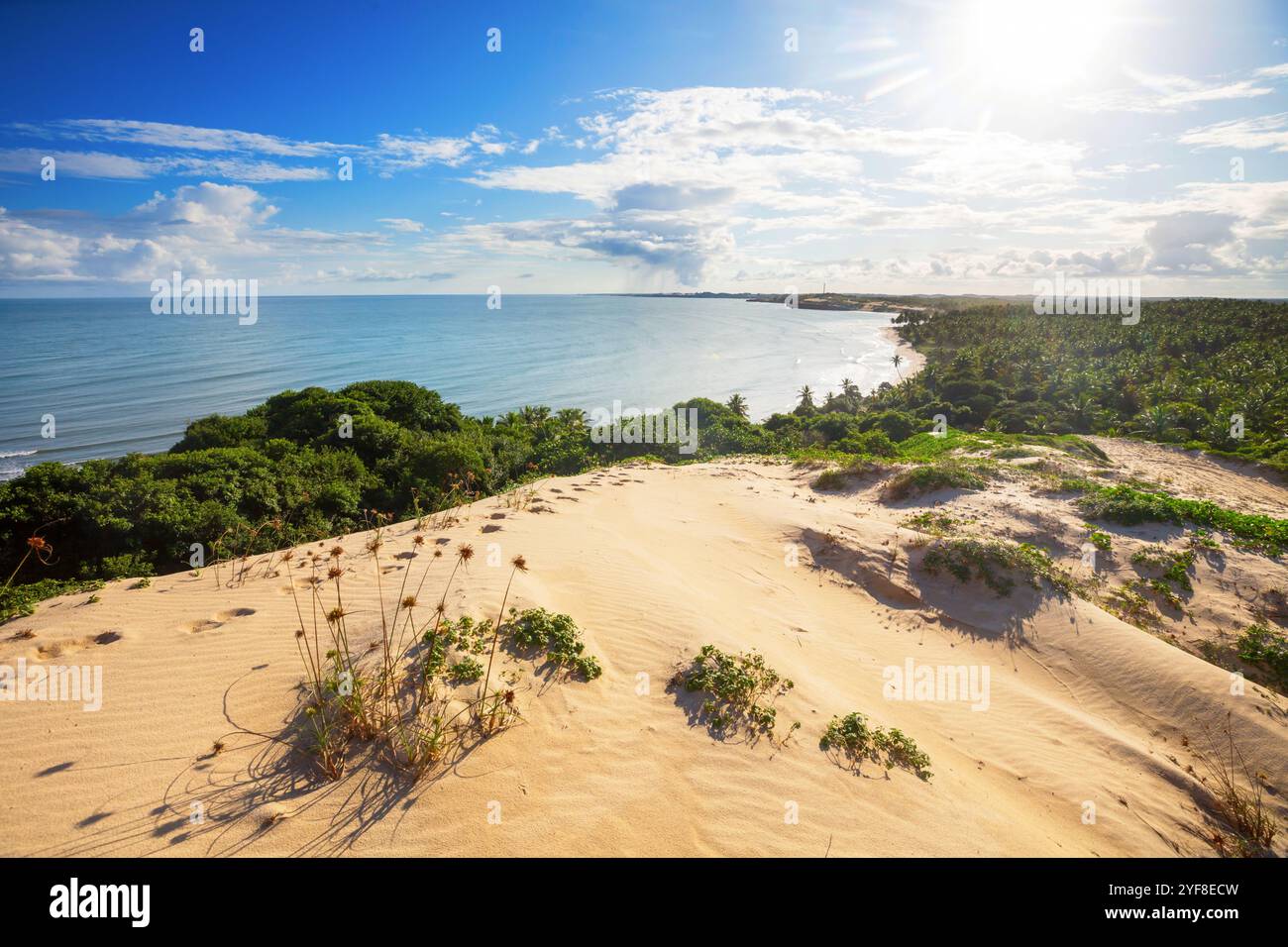 Dunes on beach in brazil hi-res stock photography and images - Alamy