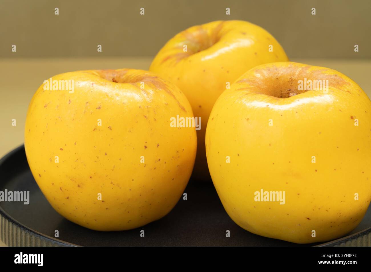 Three yellow Opal apples on a gray plate. Stock Photo