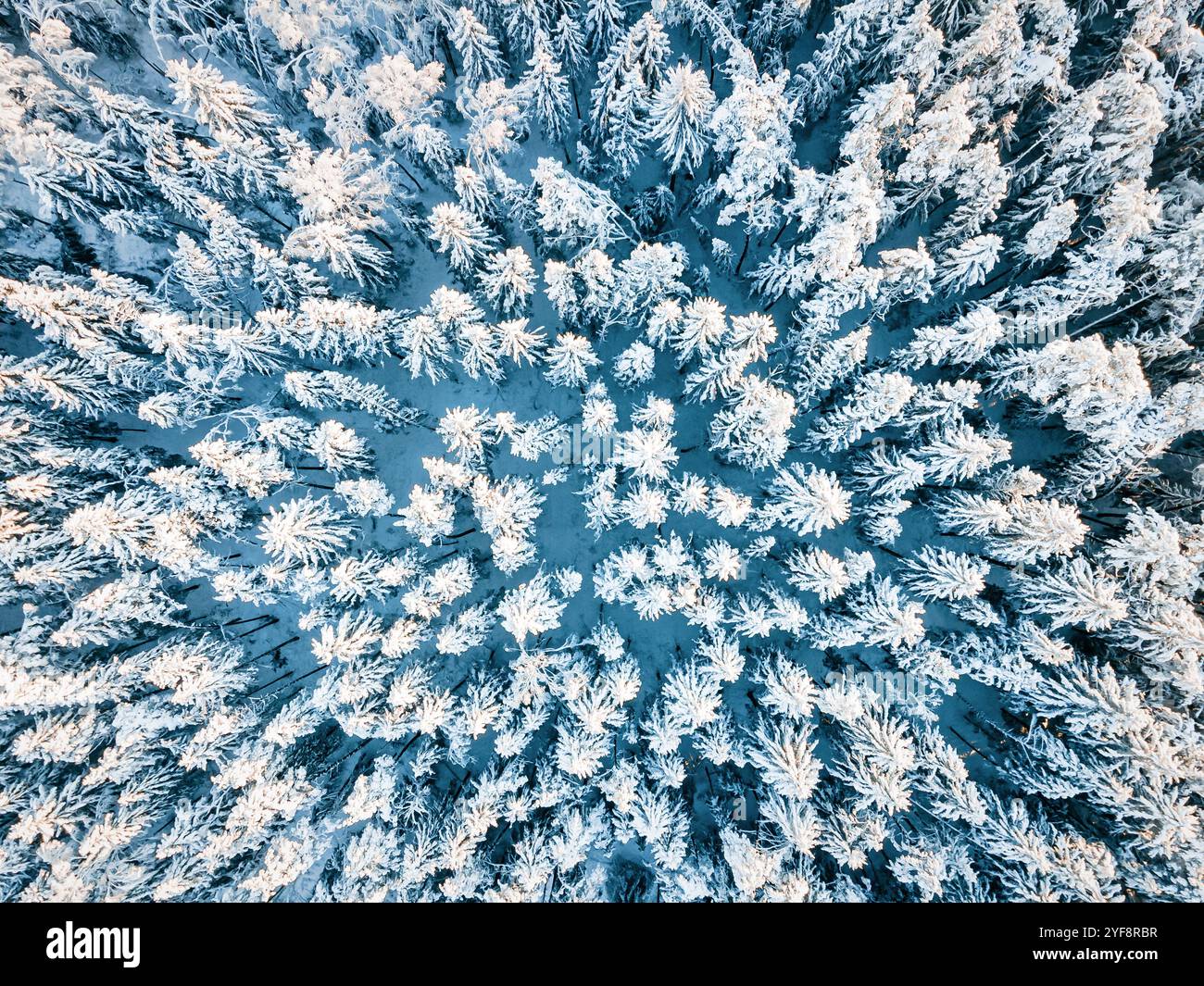 Thick forest area aerial hi-res stock photography and images - Alamy