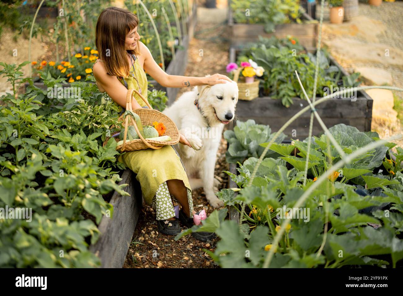 Woman with her dog in eco-friendly garden Stock Photo - Alamy