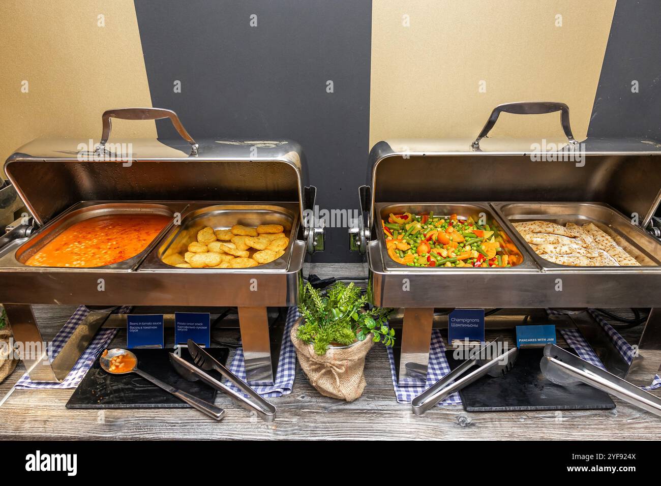 Luxurious Buffet Serving with Hot Entrees and Sophisticated Wall Design ...