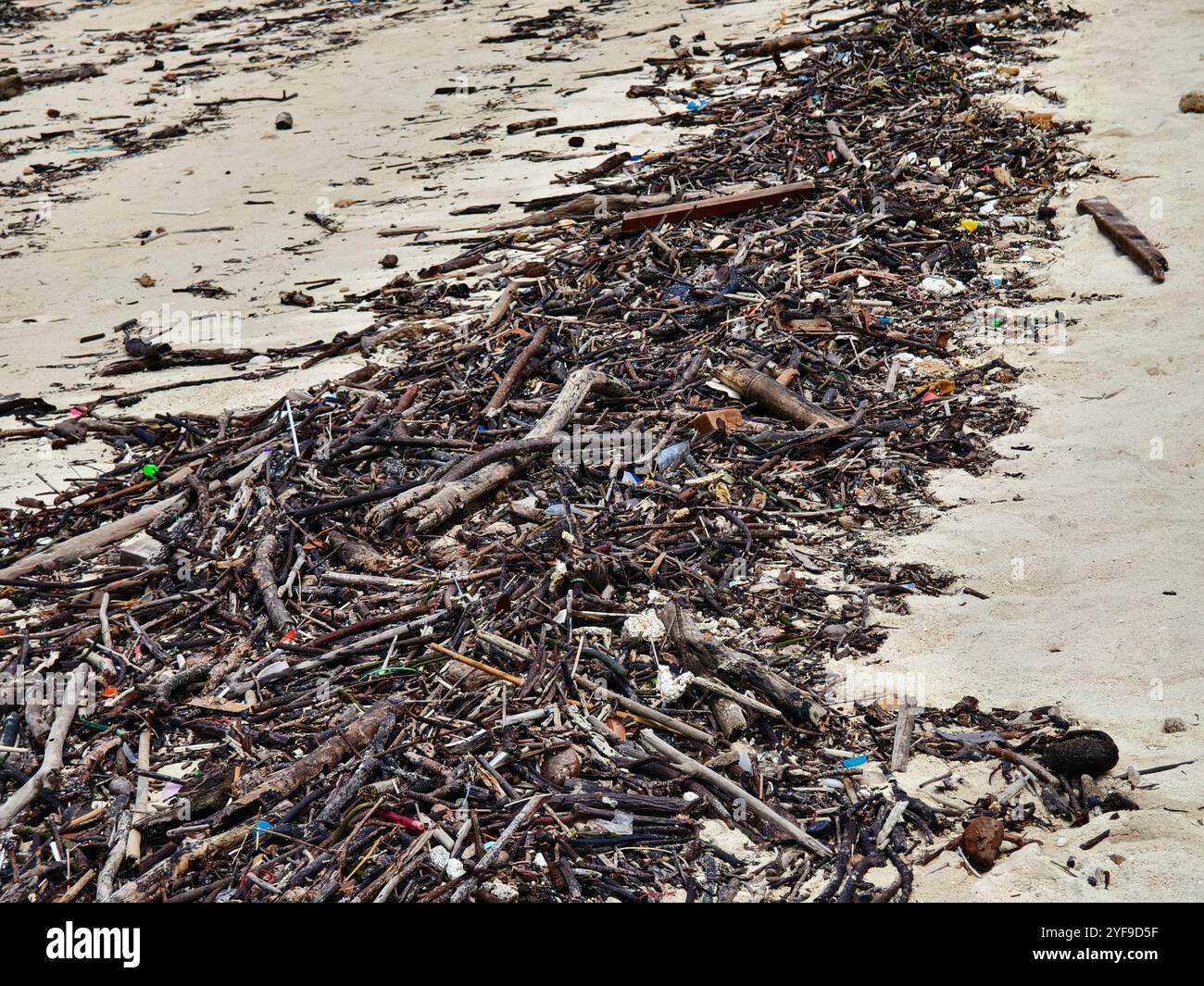 Littered Compound A beach heavily littered with wood and plastic Stock Photo - Alamy