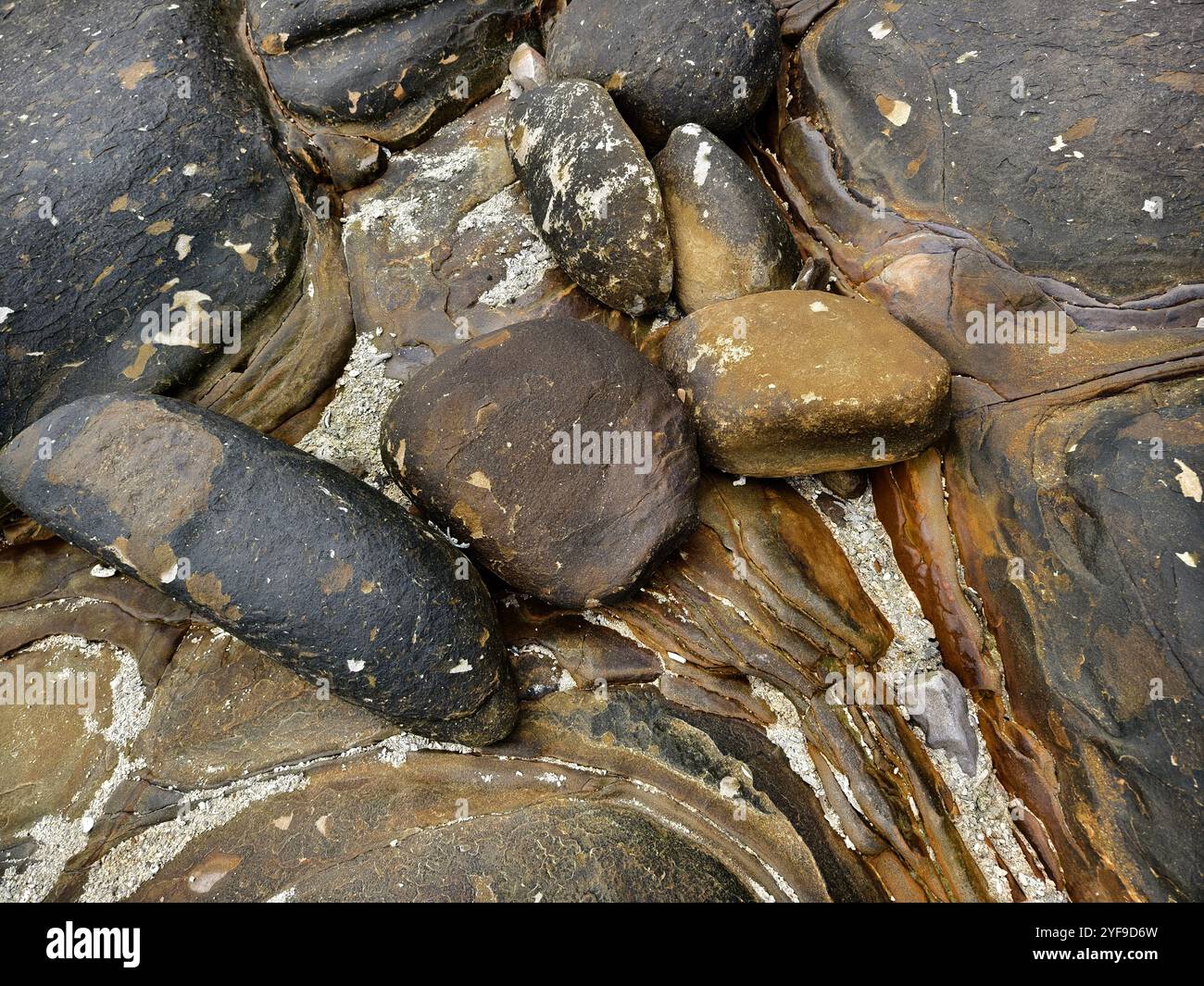 Featuring beautifully hi-res stock photography and images - Alamy