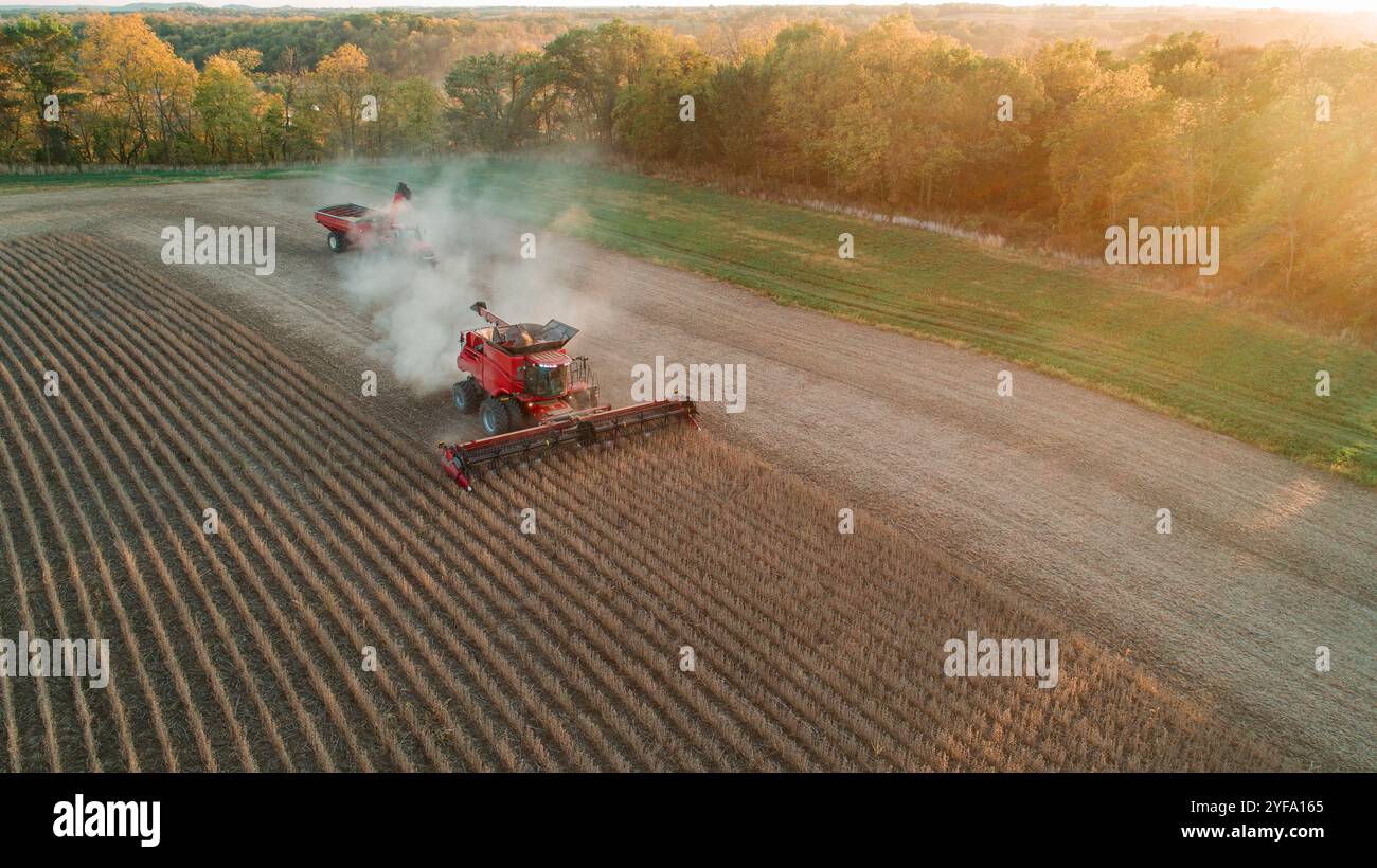 Harvest crops beans hi-res stock photography and images - Alamy
