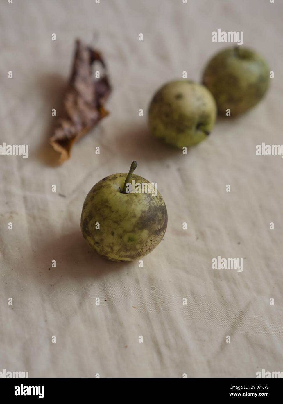 October three hi-res stock photography and images - Alamy