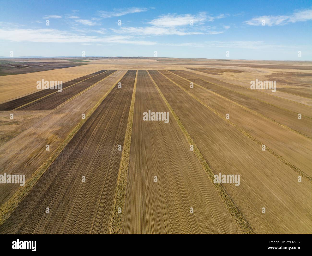 Aerial view of a massive row crop field. Stock Photo