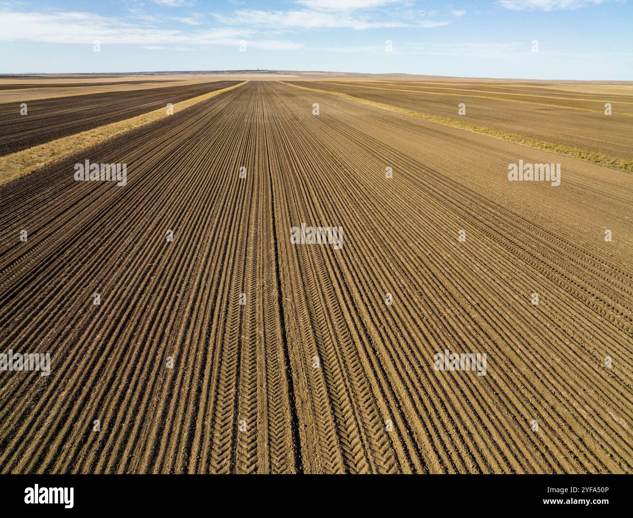 Aerial view of a massive row crop field. Stock Photo
