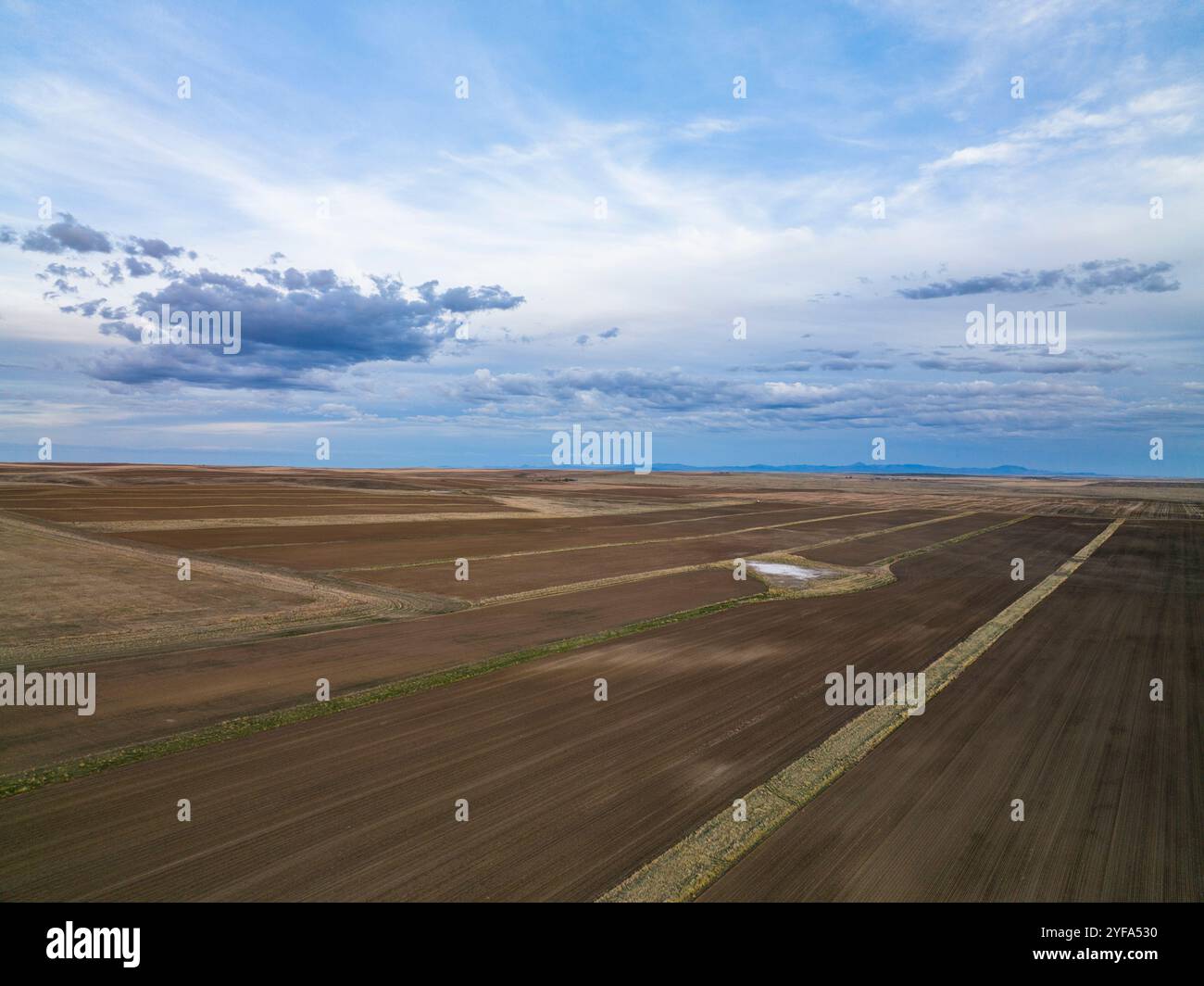 Aerial view of a massive row crop field. Stock Photo