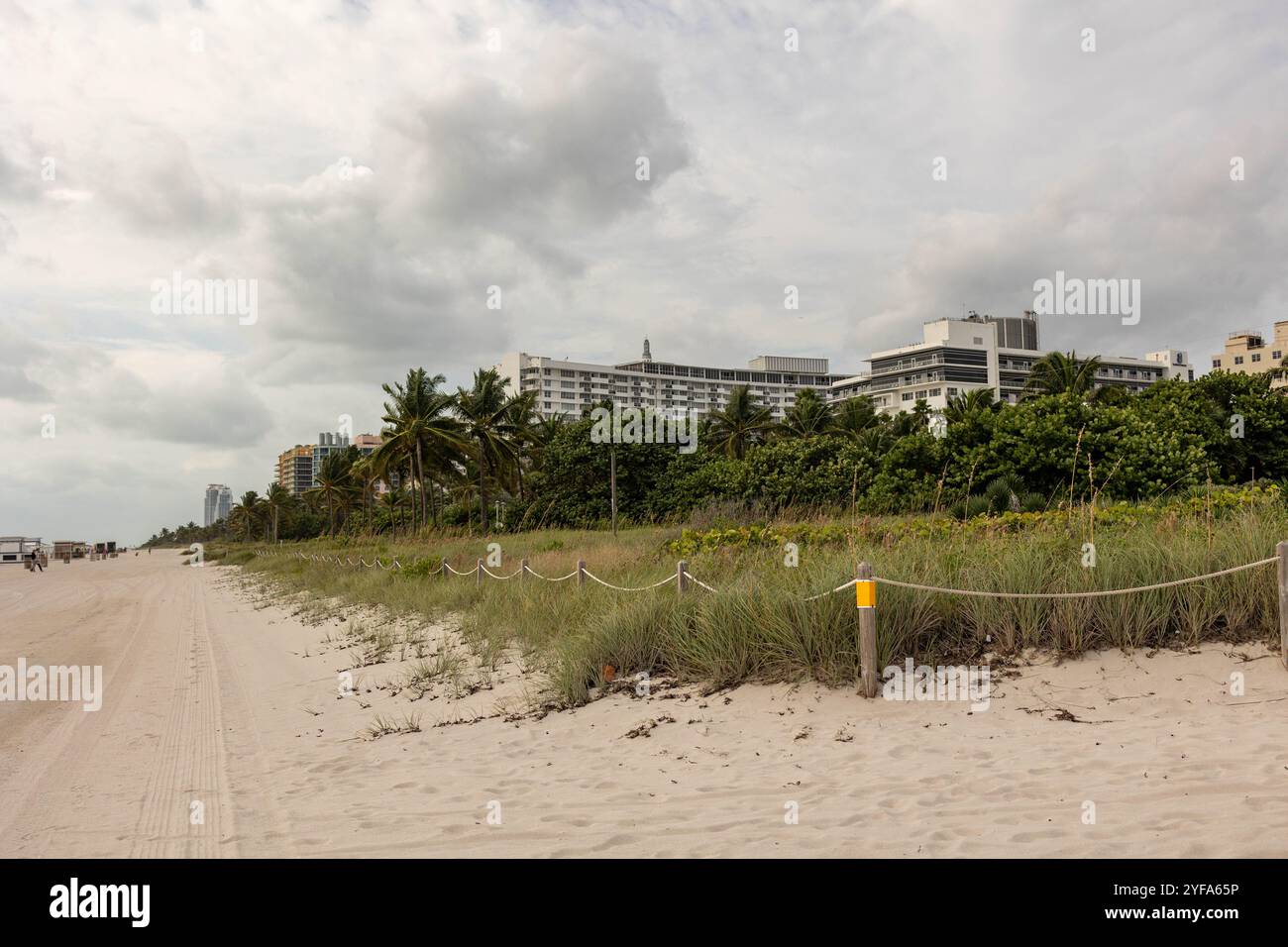 Miami Beach sandy path bordered by greenery and hotels, cloudy skies Stock Photo