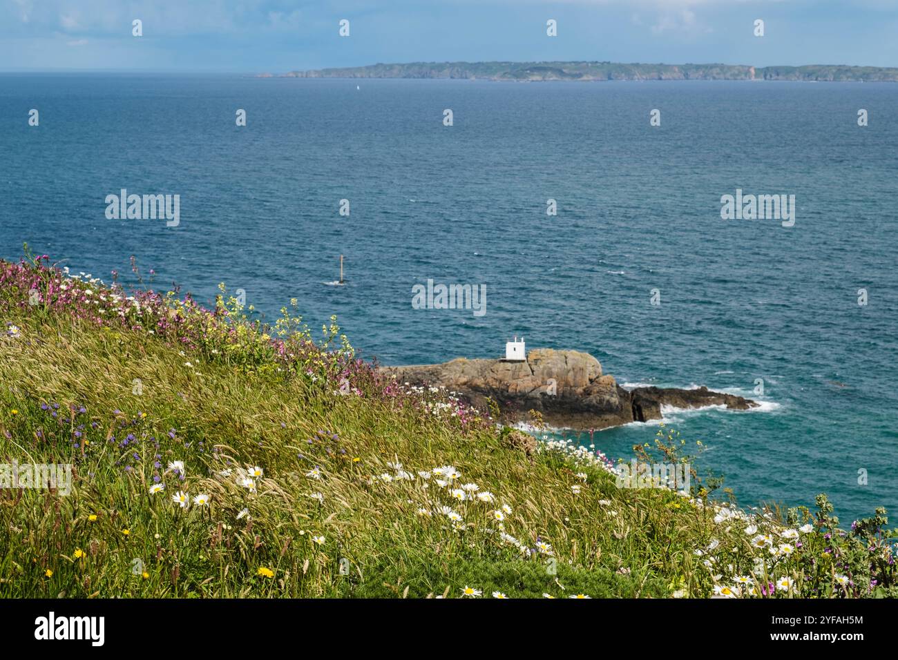 Wildflowers on the cliffs with view to St Martin's Point and Sark in the distance, Jerbourg, St Martin, Guernsey, Channel Islands, UK, Britain, Europe Stock Photo