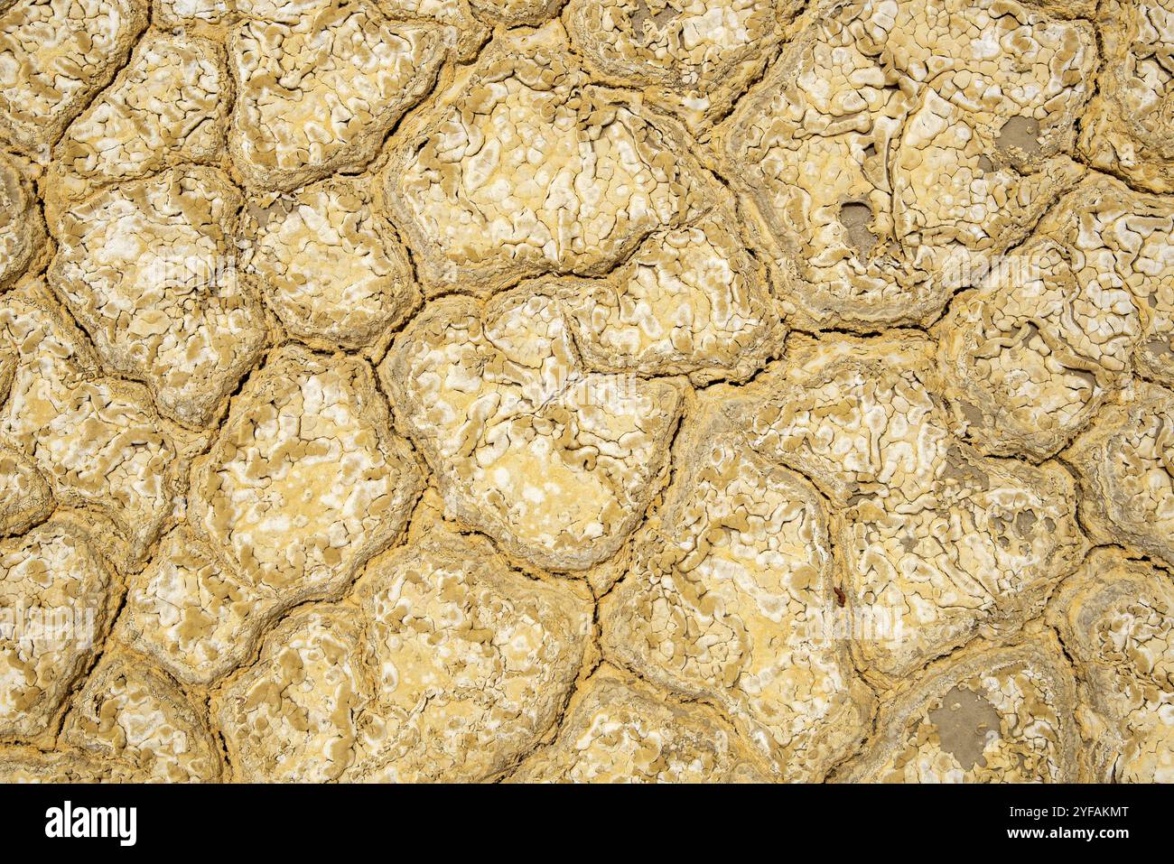 Dry cracked ground background. Concept image of global warming Stock ...