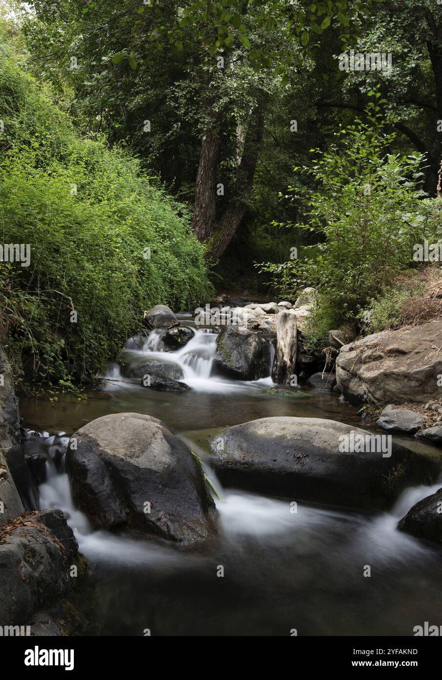 Idyllic calm river with small waterfalls flowing between trees and ...