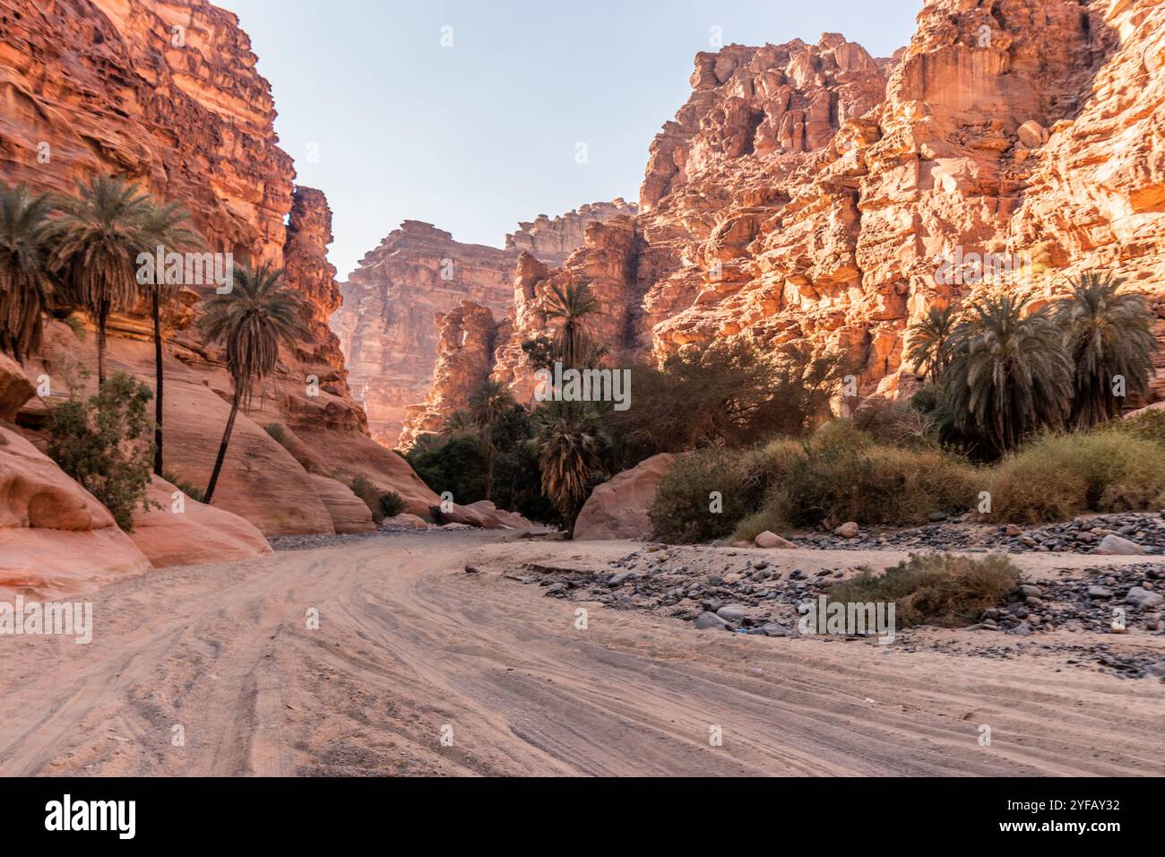 Path in Wadi Disah canyon, Saudi Arabia Stock Photo - Alamy