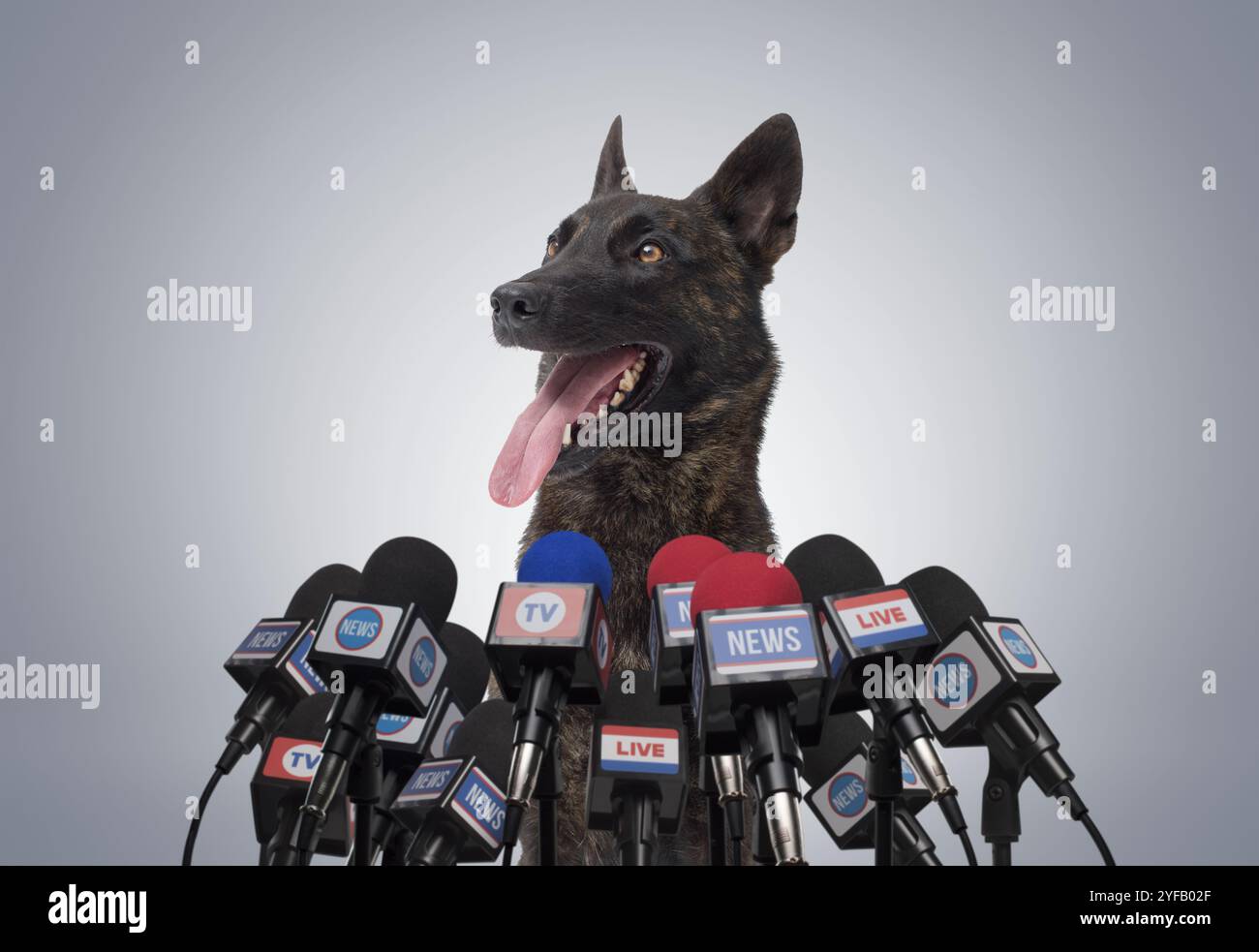 Animals Getting Interviewed Politics mouth open speaking hi-res stock photography and images - Alamy