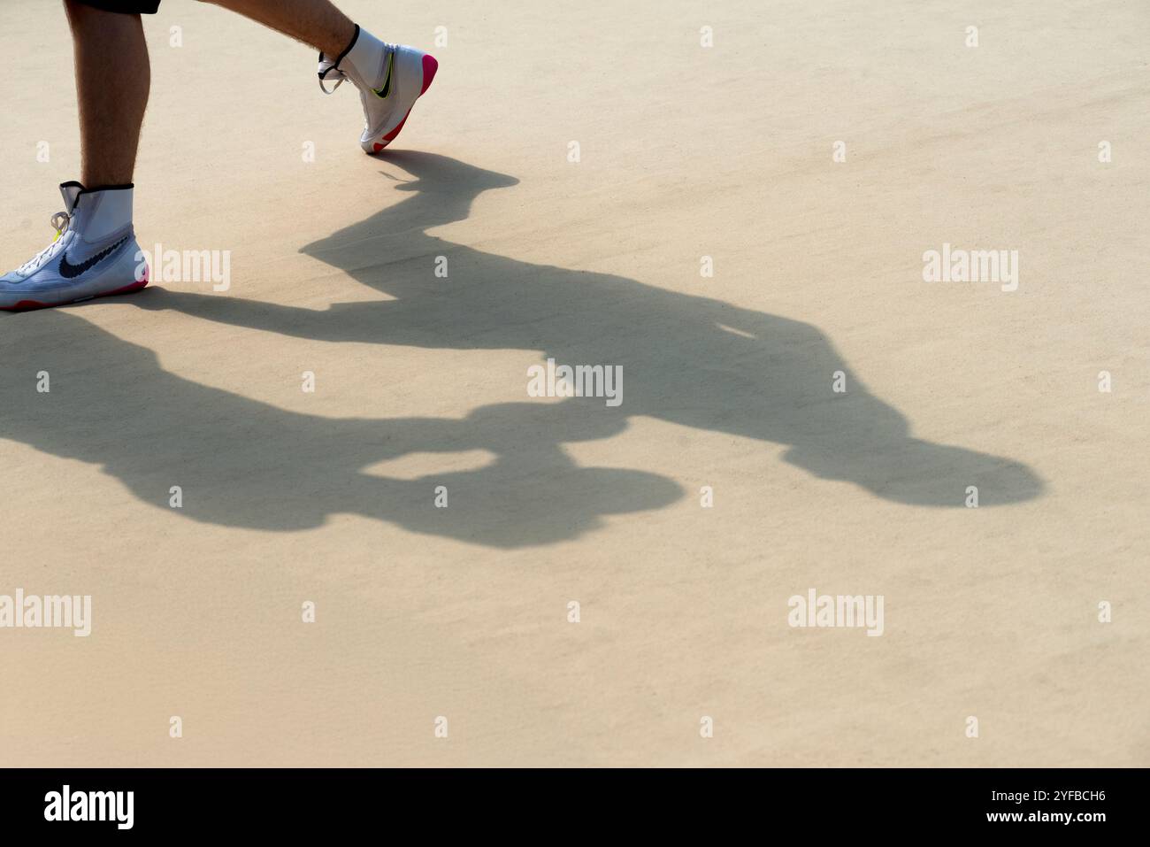 Shadow of a Boxer in Training Stock Photo