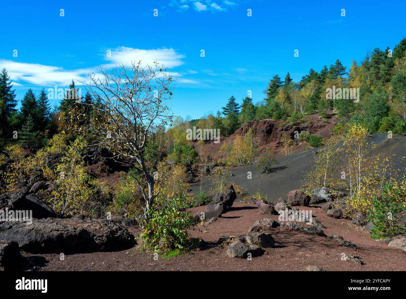 Auvergne Volcanoes Regional Natural Park. Former volcanic quarry of Puy ...