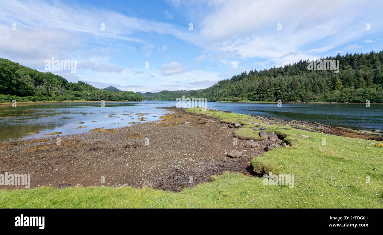 Grassy shore of Caol Scotnish, an arm of Loch Sween,  near its northern limit, near Tayvallich, Argyll and Bute, Scotland, UK, July. Stock Photo