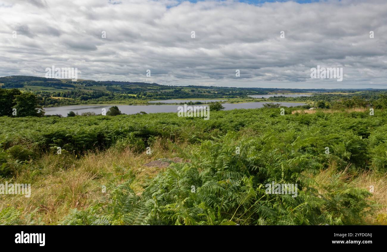 Overview of Castle Semple Loch, with Barr and Kilbirnie Lochs in the background, near Lochwinnoch, Renfrewshire, Scotland, UK, July. Stock Photo