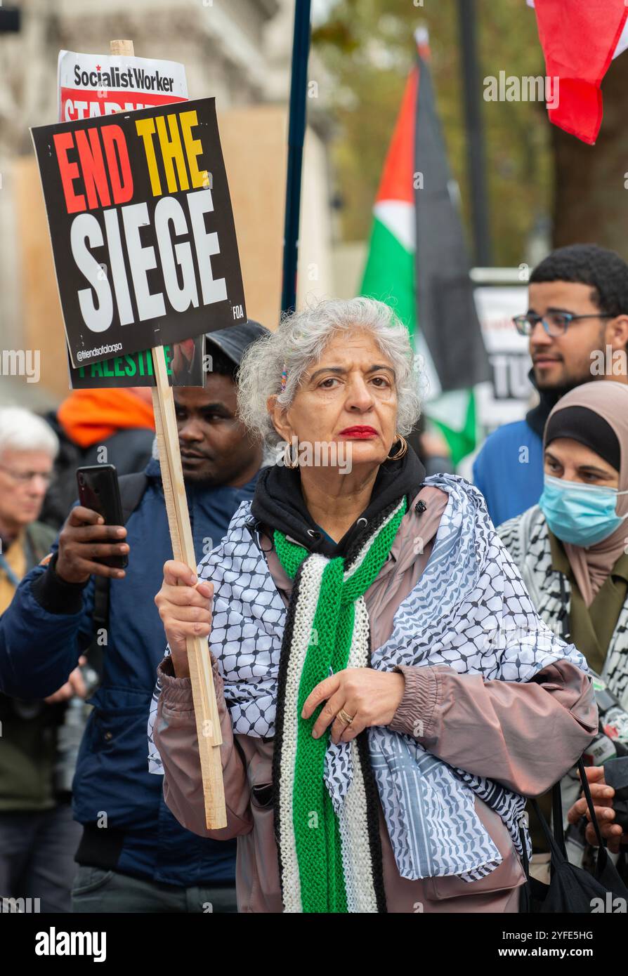 London, UK. 2nd November 2024. Pro Palestine supporter holding sign at
