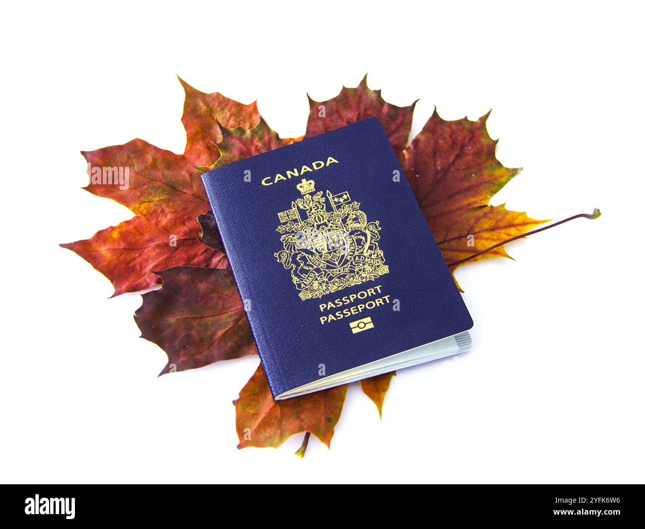 Canadian passport hi-res stock photography and images - Alamy