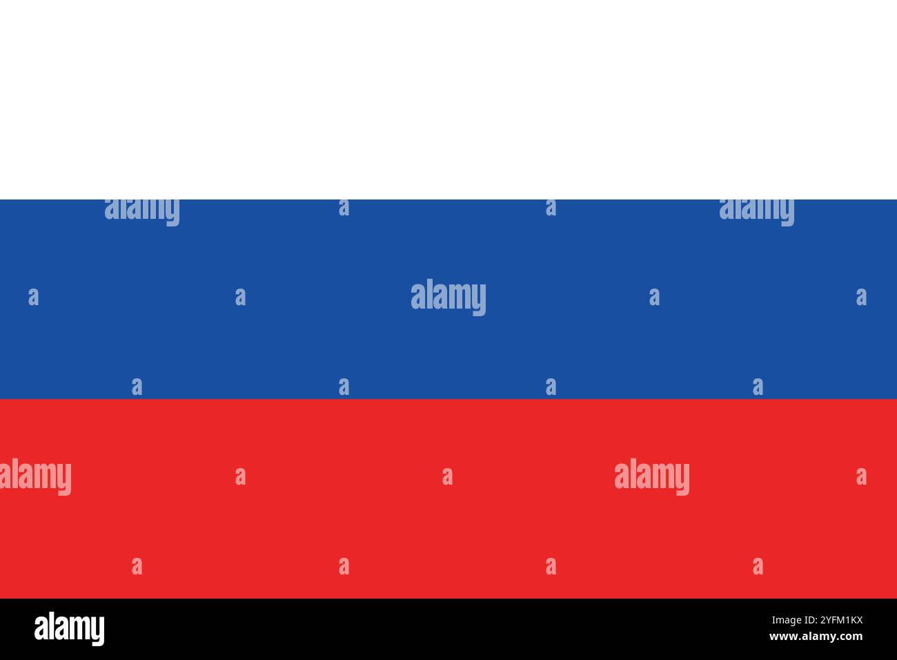 Flag of Russia. An illustration of the Russian flag. A rectangular flag ...