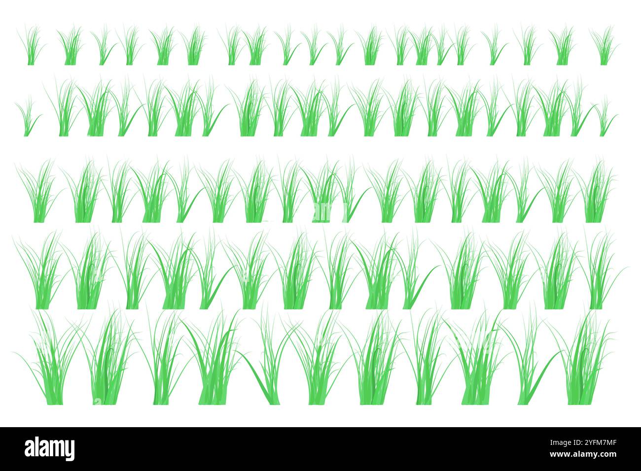 Green grass borders on white background. The grass is very popular in the front yard. Stock Vector