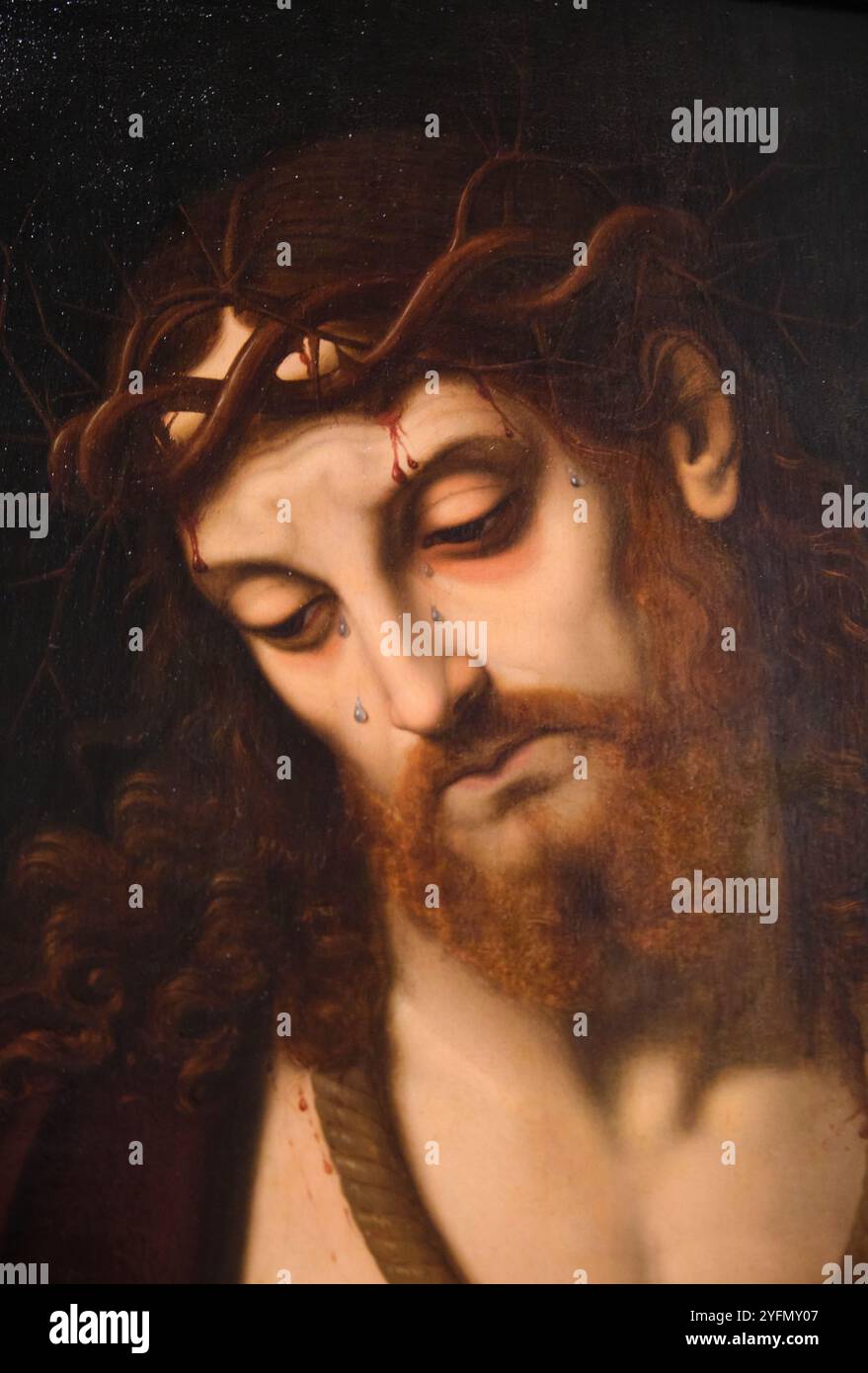 Christ Bound by Andrea Solario. A sad Jesus portrait, tied with rope ...