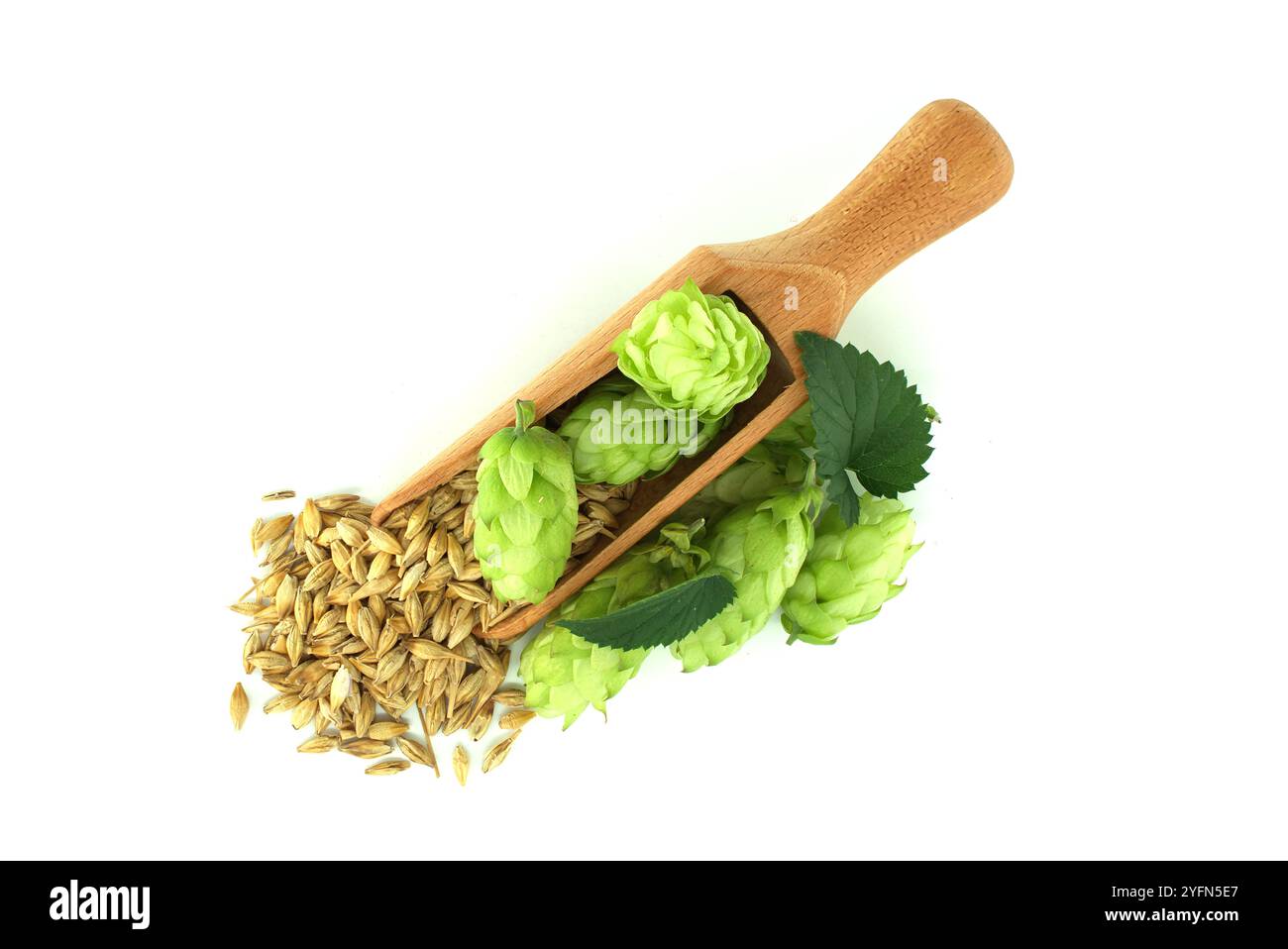 Ethanol fermentation hi-res stock photography and images - Alamy