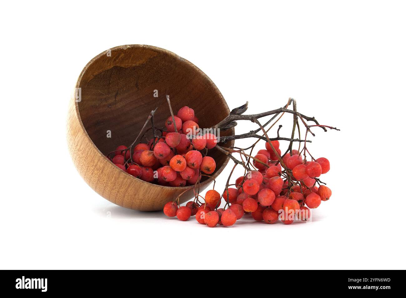 Elegantly cluster hi-res stock photography and images - Alamy