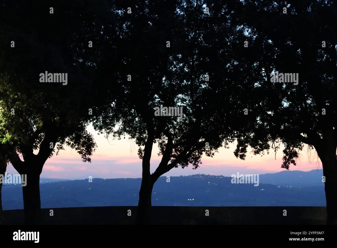 Beautiful view silhouette tree hi-res stock photography and images - Alamy