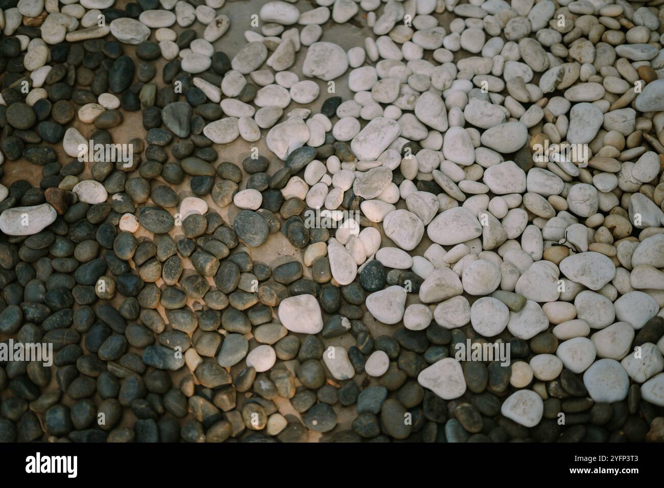 Rough and smooth textures hi-res stock photography and images - Alamy