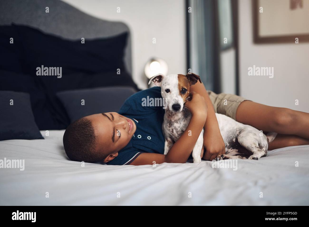 Dog, child and relax on bed for hug, training game and relationship ...