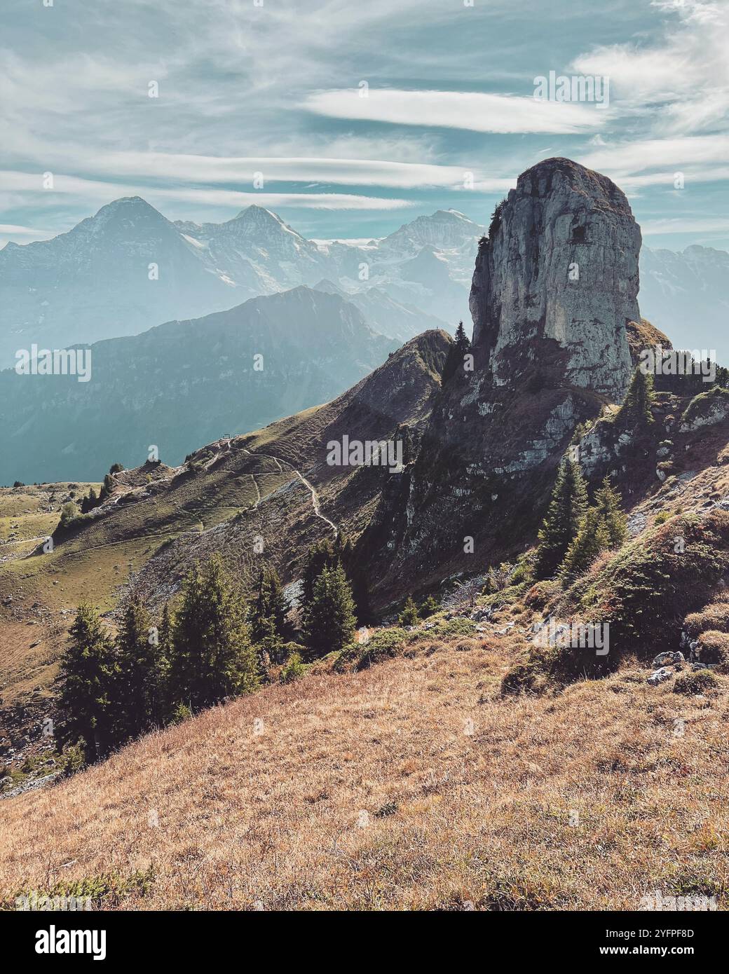 Photooftheday hi-res stock photography and images - Alamy