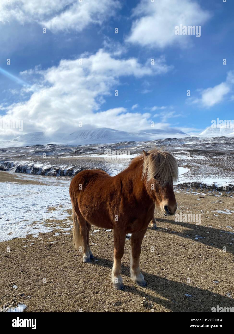 iceland - Smartphone Captured Stock Image