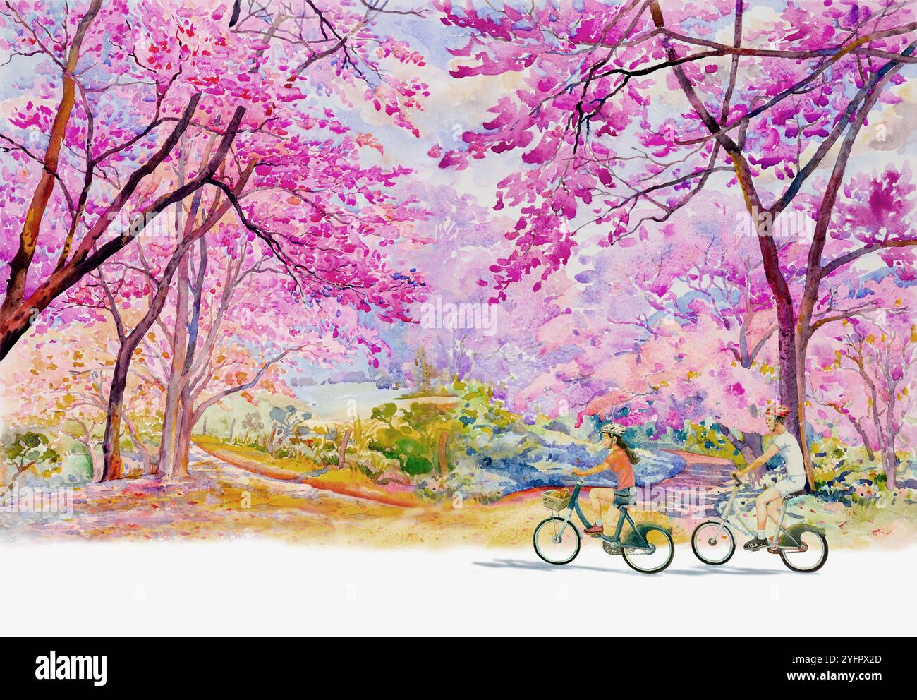 Cherry blossom illustration road hi-res stock photography and