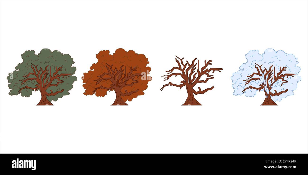 Deciduous forest four seasons hi-res stock photography and images - Alamy