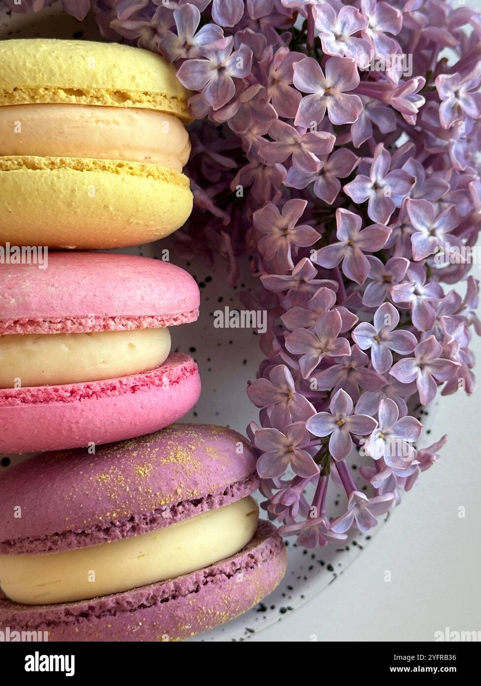 Macarons in different colors and tastes on the white plate and fresh lilac flowers - Smartphone Captured Stock Image