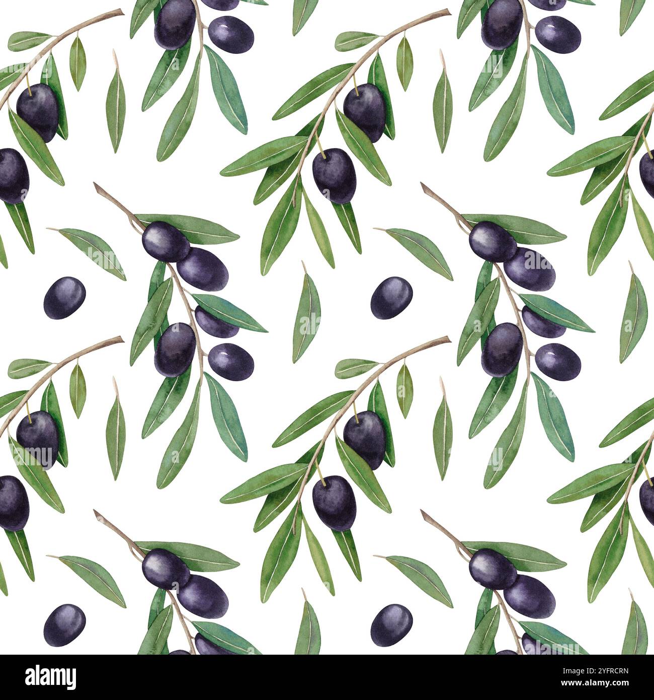 Seamless pattern with olive branches, olives and leaves on white ...