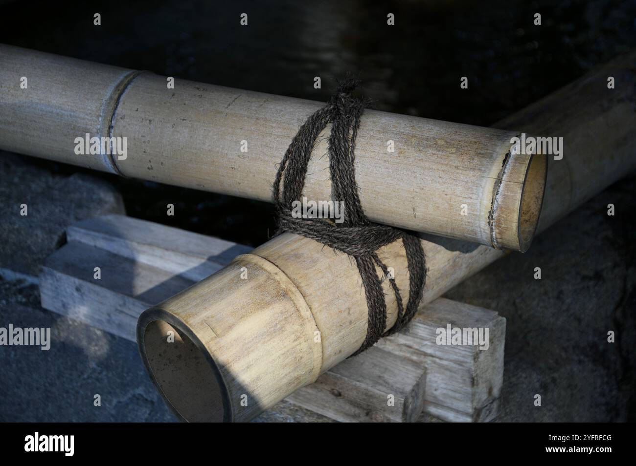 Tambuchi knots with a black tying string on a traditional Japanese ...