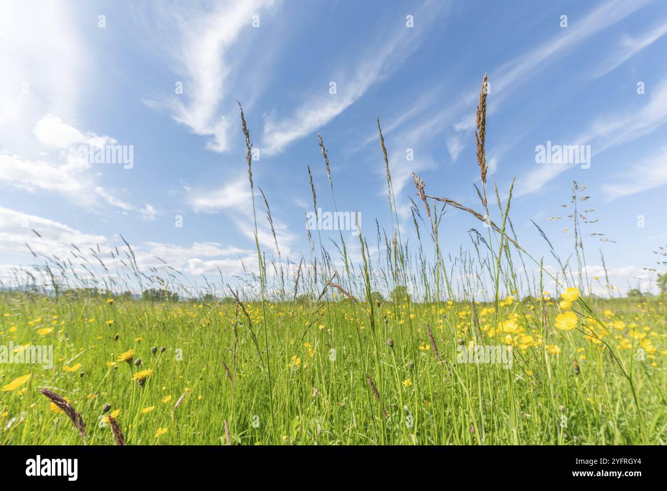 Natural Spring France Spring france hi-res stock photography and images - Alamy