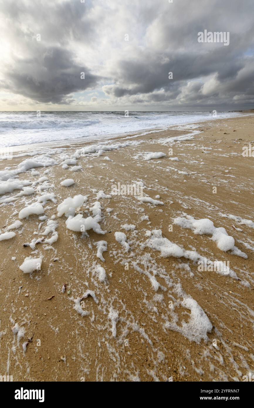 Harmful ocean litter hi-res stock photography and images - Alamy