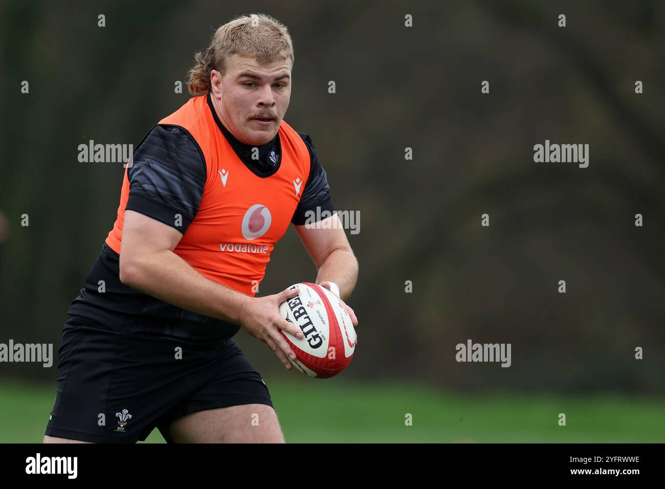 Cardiff, UK. 05th Nov, 2024. Archie Griffin of Wales during training.Wales rugby team training, Hensol, Vale of Glamorgan on Tuesday 5th November 2024. the team are training ahead of the forthcoming Autumn international matches. pic by Andrew Orchard/Andrew Orchard sports photography/ Alamy Live News Credit: Andrew Orchard sports photography/Alamy Live News Stock Photo