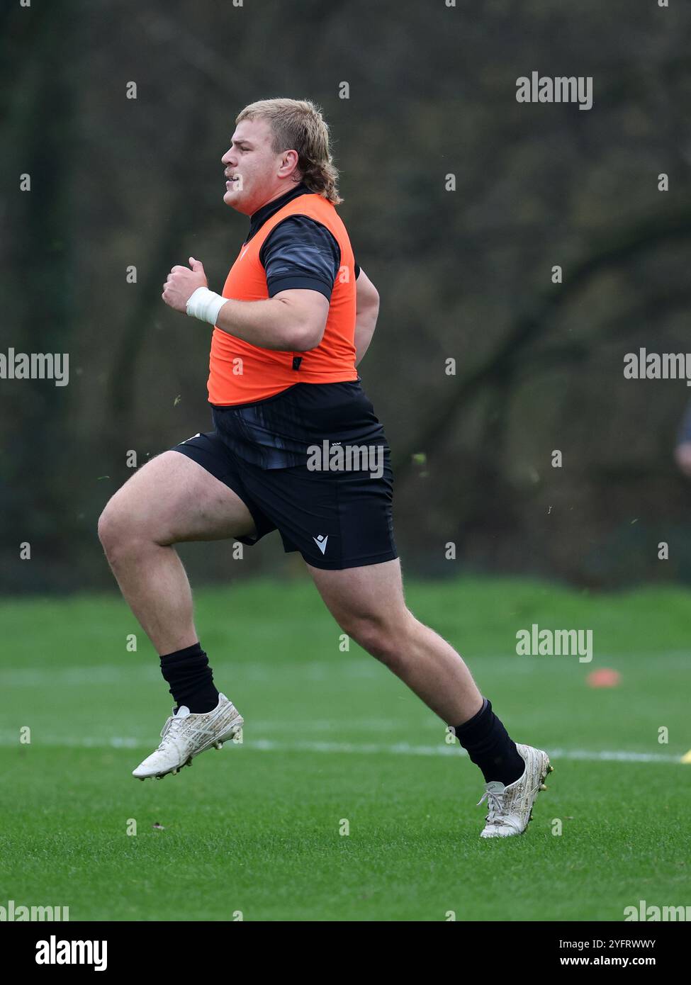 Cardiff, UK. 05th Nov, 2024. Archie Griffin of Wales during training.Wales rugby team training, Hensol, Vale of Glamorgan on Tuesday 5th November 2024. the team are training ahead of the forthcoming Autumn international matches. pic by Andrew Orchard/Andrew Orchard sports photography/ Alamy Live News Credit: Andrew Orchard sports photography/Alamy Live News Stock Photo