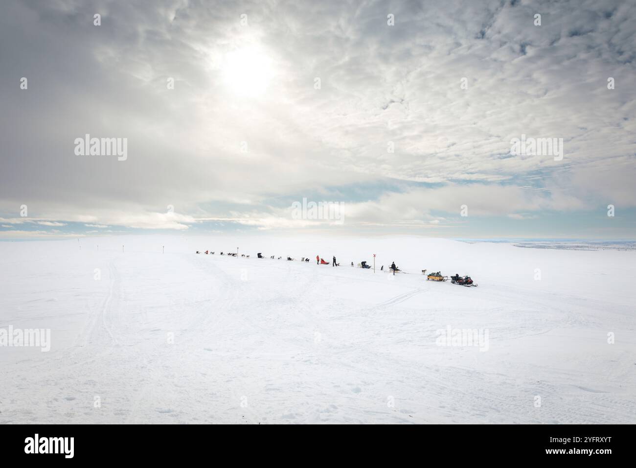Husky dog sledding tour in Finnish arctic tundra, dog sled team mushing adventure across vast snowy wilderness landscape, lapland, Enontekiö, Finland Stock Photo