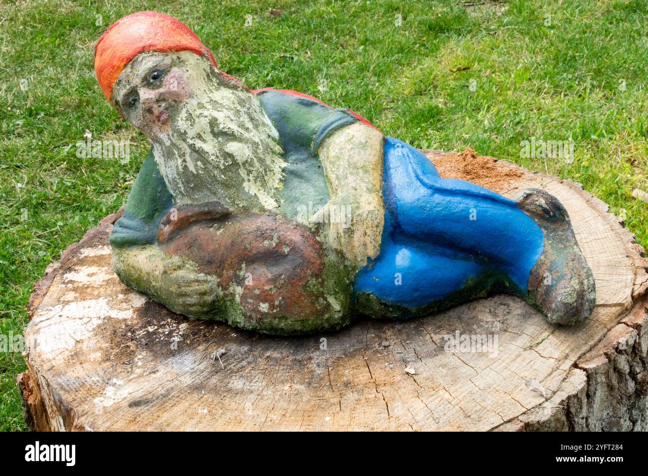 A garden gnome lying on tree stump Stock Photo