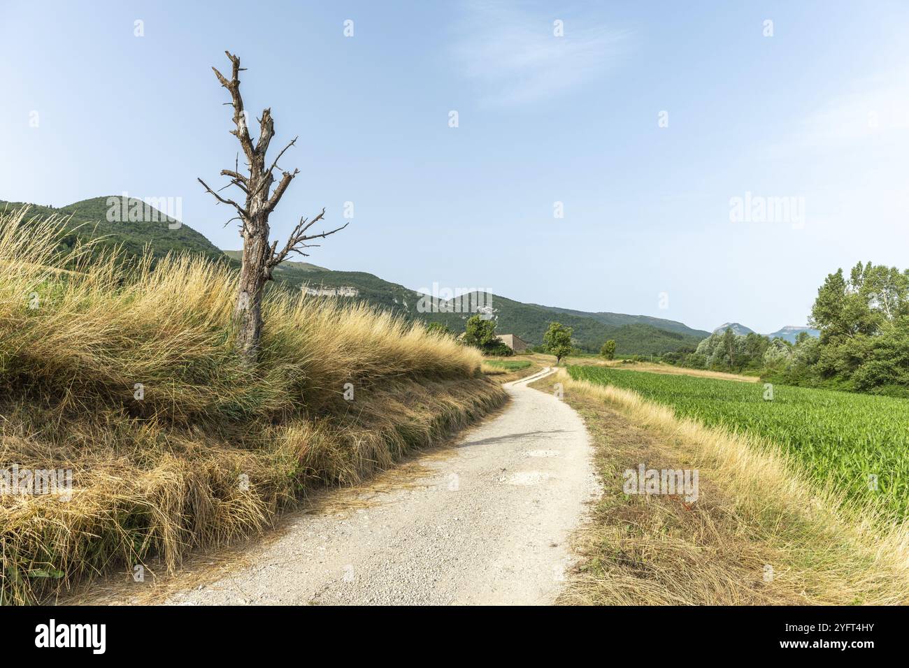 Countryside walking trails hi-res stock photography and images - Alamy